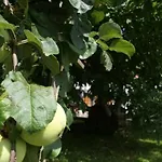 Vakantieboerderij Izerski Dom Leśna