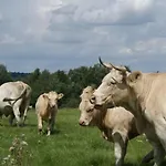 Izerski Dom Vakantieboerderij *