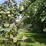 Vakantieboerderij Izerski Dom *
