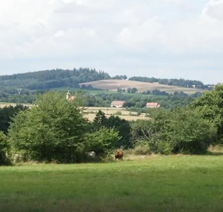 Izerski Dom Alloggio per agriturismo