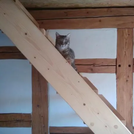 Izerski Dom 农家乐 Leśna