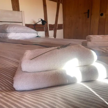 Izerski Dom * Leśna