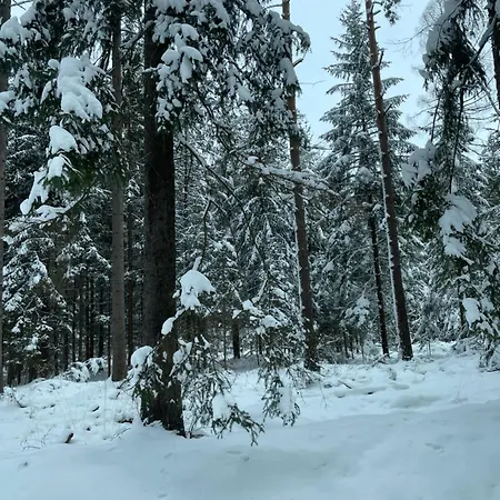 农家乐 Izerski Dom Leśna