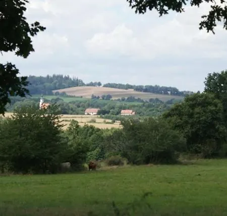 Izerski Dom * Leśna
