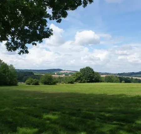 Alloggio per agriturismo Izerski Dom Leśna