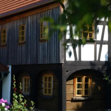 Alloggio per agriturismo Izerski Dom
