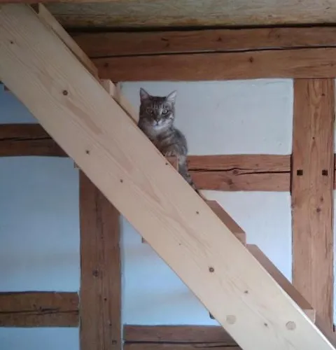 Izerski Dom Фермерский дом Лесьна