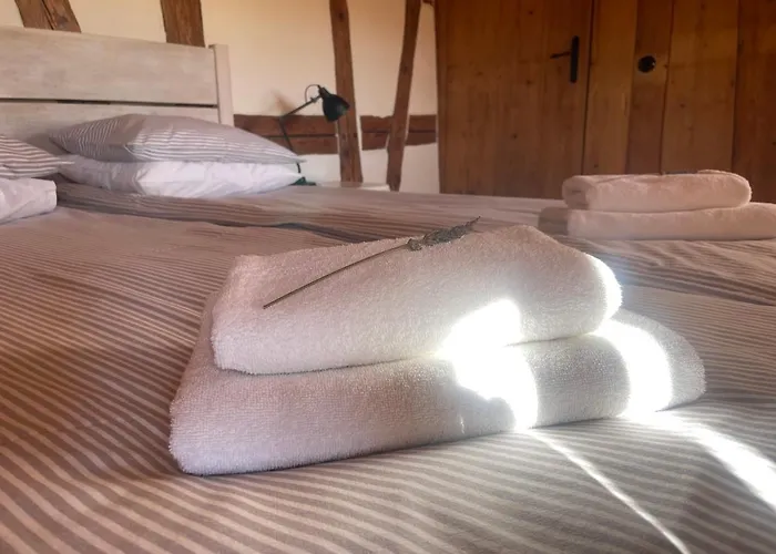 Izerski Dom * Leśna