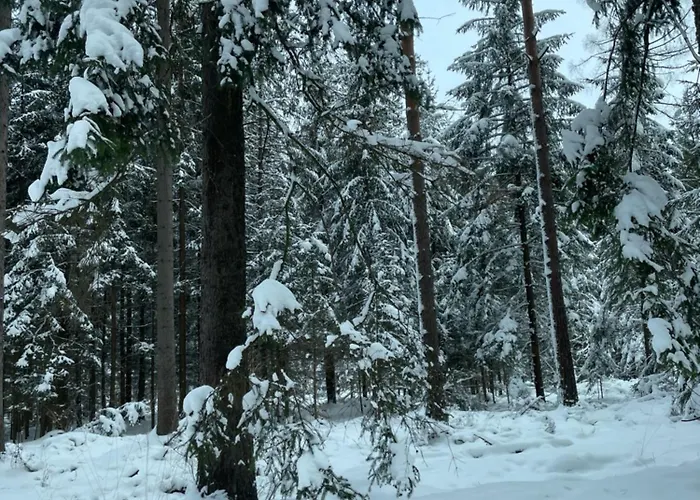 Фермерский дом Izerski Dom Лесьна