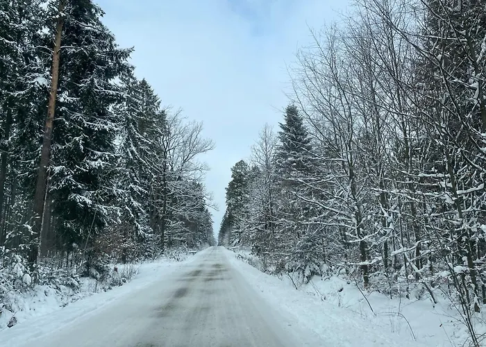 Izerski Dom * Лесьна