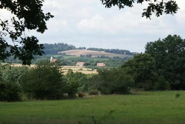 Izerski Dom * Leśna