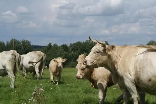 Izerski Dom Фермерский дом *