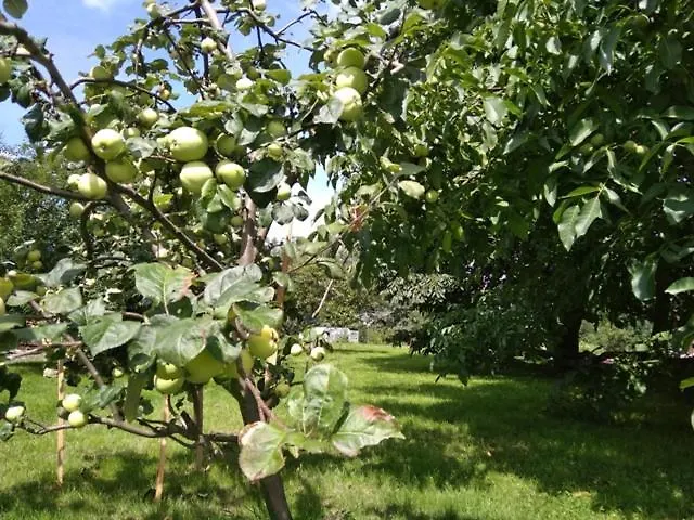 Agroturismo Izerski Dom *