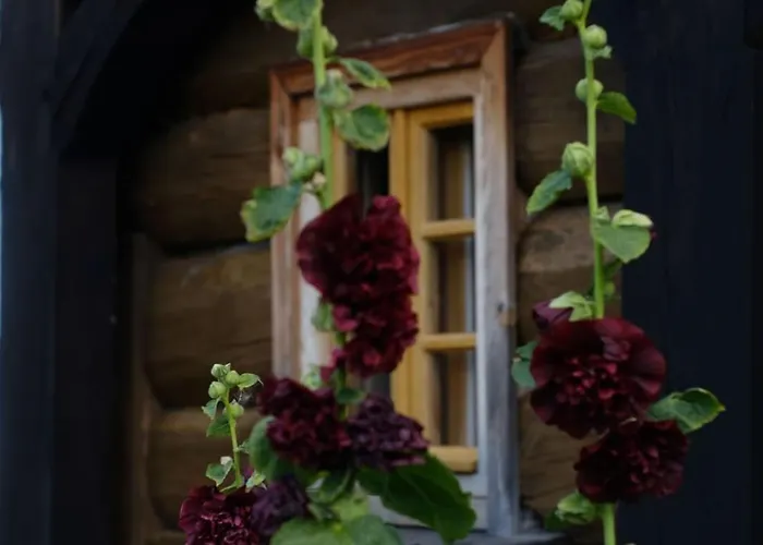 Izerski Dom * Leśna