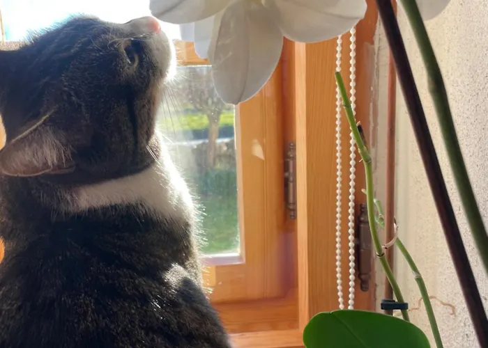 Izerski Dom Agroturismo