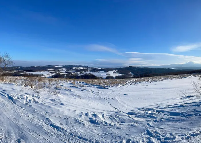 Фермерский дом Izerski Dom *