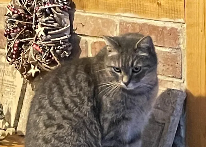 Izerski Dom Agroturismo Leśna